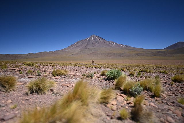 Nikon Z 20mm